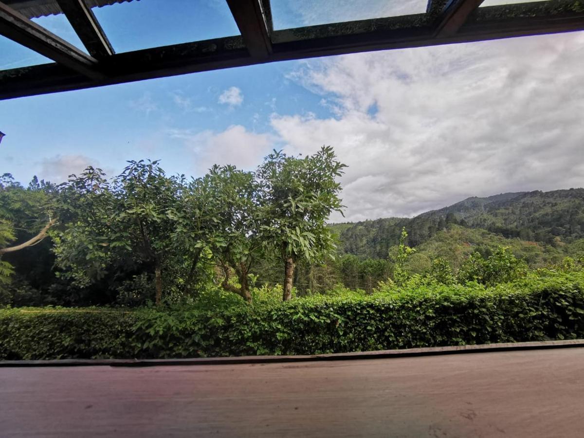 Cabana Hamacas การ์ตาโก ภายนอก รูปภาพ